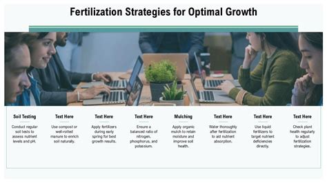 Fertilization Strategies for Optimal Growth
