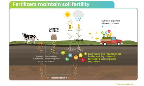 Fertilization and Soil Health