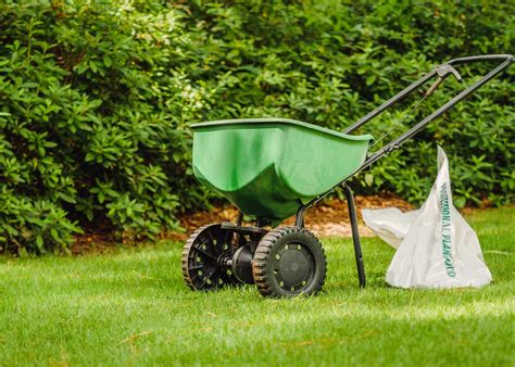 Fertilization and Weed Control Strategies