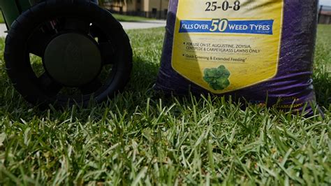 Fertilize Your Lawn in South Jersey