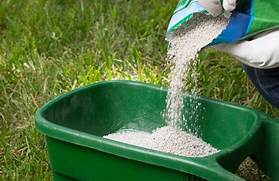Fertilizing Your Lawn in Powder Springs