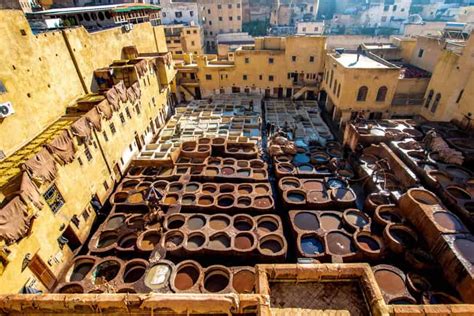Fes local guide