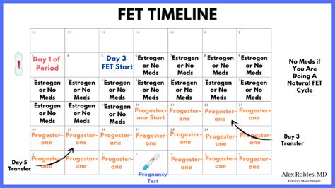 Fet Cycle Calendar