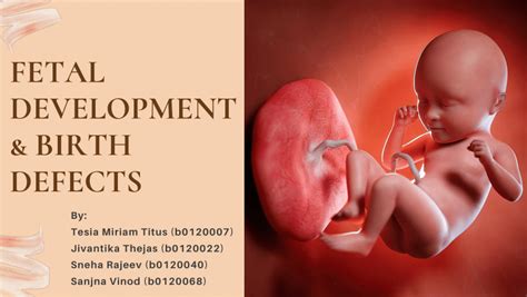 Fetal Development Issues: Causes & Treatment