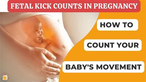 Fetal Kicks & Movement: What to Expect 