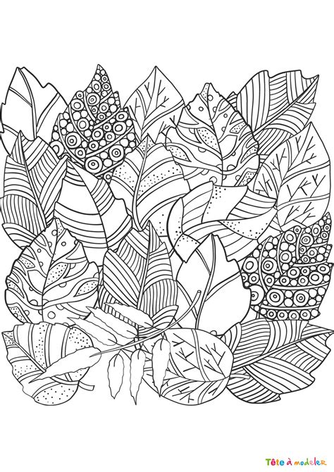 Feuille De Coloriage Enfant A Imprimer