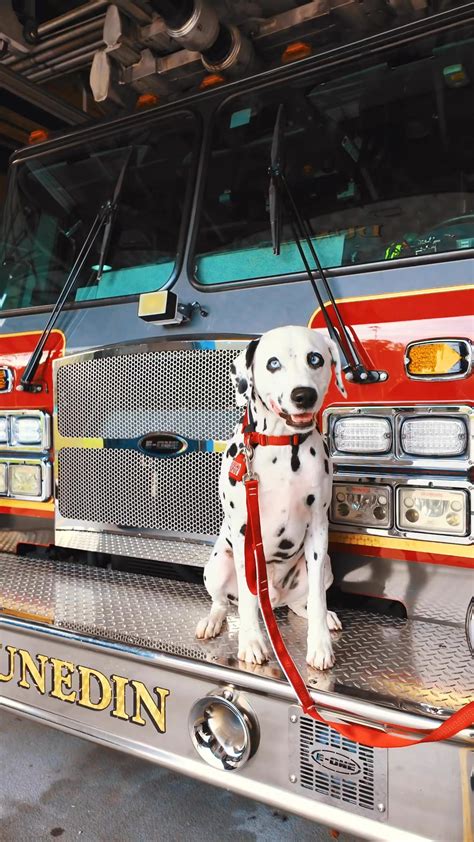 Few basic questions most people have before creating a blog on blogspot