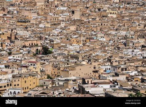 Fez Medina View