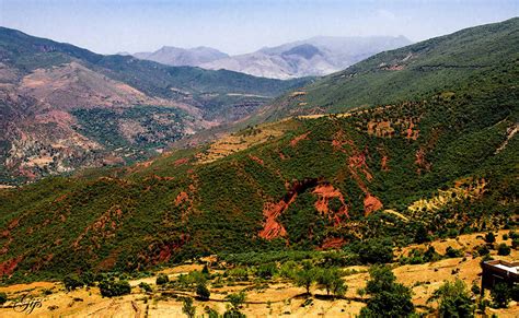 Fez Middle Atlas Mountains Day Trip: A Deep Review