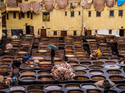 Fez Tannery