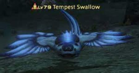 Unleash Your Inner Adventurer with Rare FFXIV Sea Swallow Skin