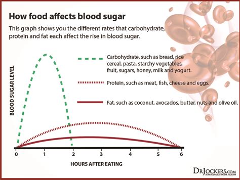 Fiber's Influence on Blood Sugar Levels