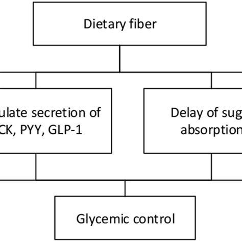 Fiber Content and Glycemic Control