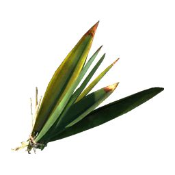 Fibrous Leaves Stranded Deep