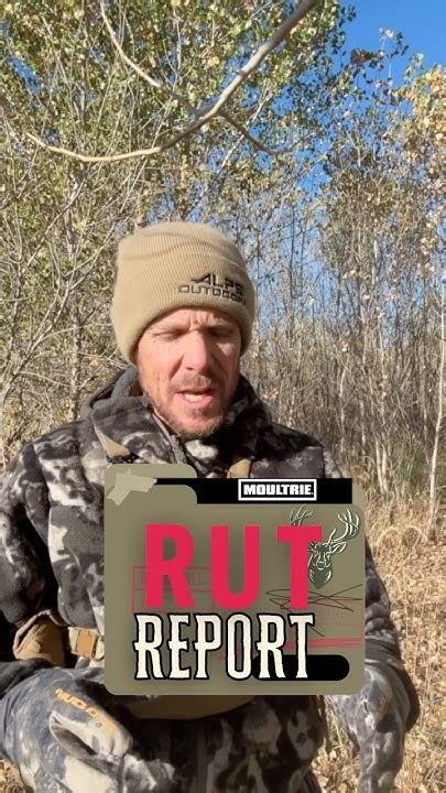 Stay Ahead of the Game with Field and Stream Rut Report App - Your Ultimate Hunting Companion!