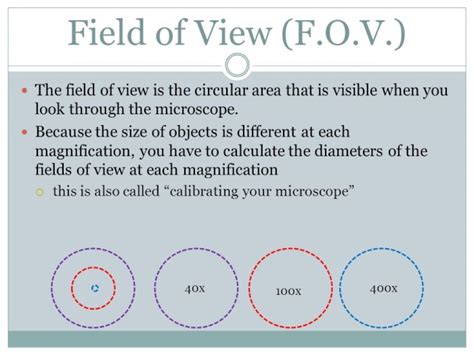 Unveiling the Secrets of Magnification: Discovering the Meaning Behind Field of View Microscope Definition