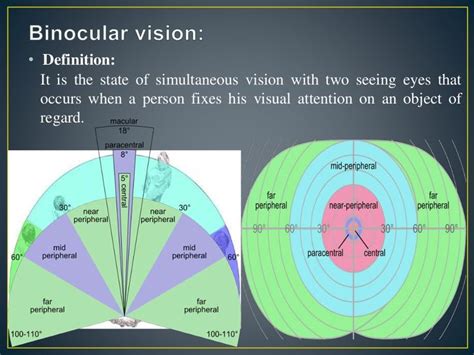 Envisioning Clarity: Understanding the Field of Vision Definition