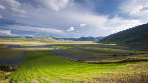 Fields and Meadows