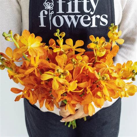 Fifty K Orchids