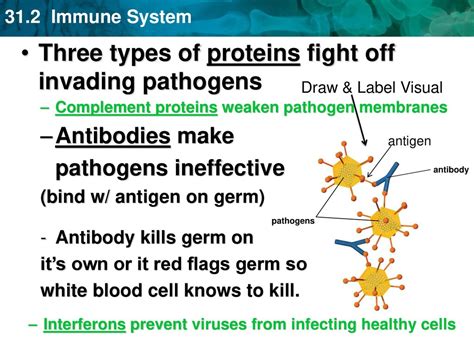Fight Infections: Understand Pathogens & Disease Causes