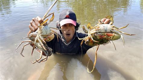 Fiji Village Mud Crab Catching Tour: A Detailed Look
