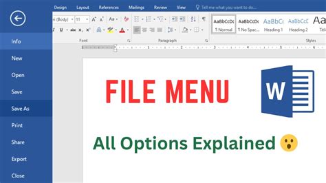 File Menu Options:
