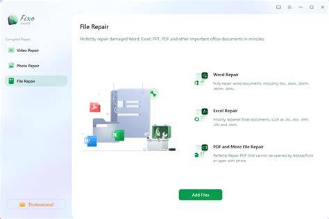 File Repair Software