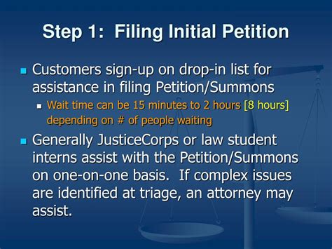 Filing the Initial Petition