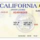 Fillable Editable Blank California Driver's License Template