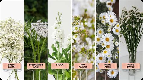 The Art of Whimsical Filler: Exploring the Definition and Beauty of Floral Design