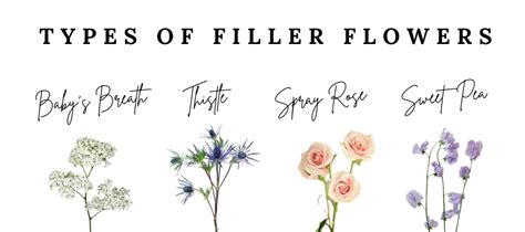 Filler Flowers The Supporting Cast