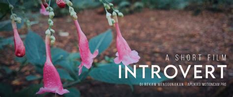 10 Film Tentang Introvert yang Menginspirasi