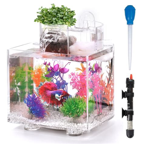 Betta fish tank filtration system
