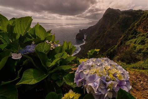 Final Thoughts on Madeira