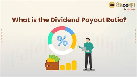 Financial Health and Dividends