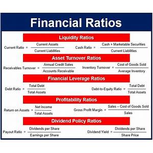 Financial ratios to assess P&L performance