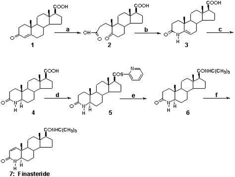 Finasteride and DHT synthesis