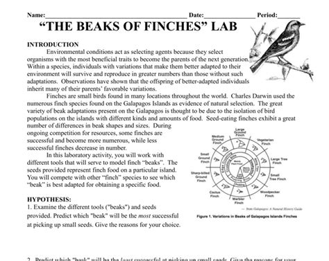 th?q=Finch%20beak%20lab%20report%20solutions - 10 Tips For Solving Finch Beak Lab Reports