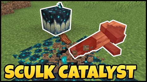 Find and Use Sculk Catalyst in Minecraft