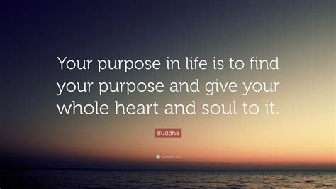 what is life purpose and charting your future!