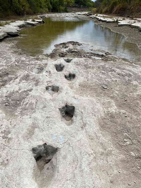 Finding Dinosaur Footprints