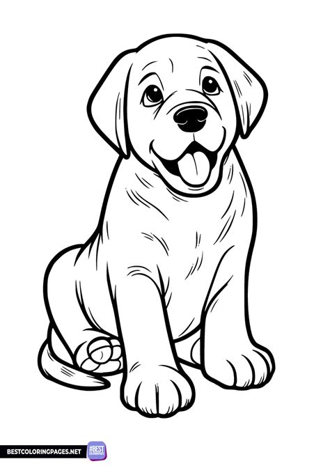 Finding High-Quality Labrador Coloring Pages Free Downloads