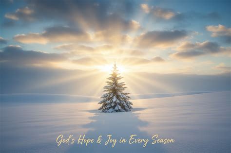 Finding Joy in January winter