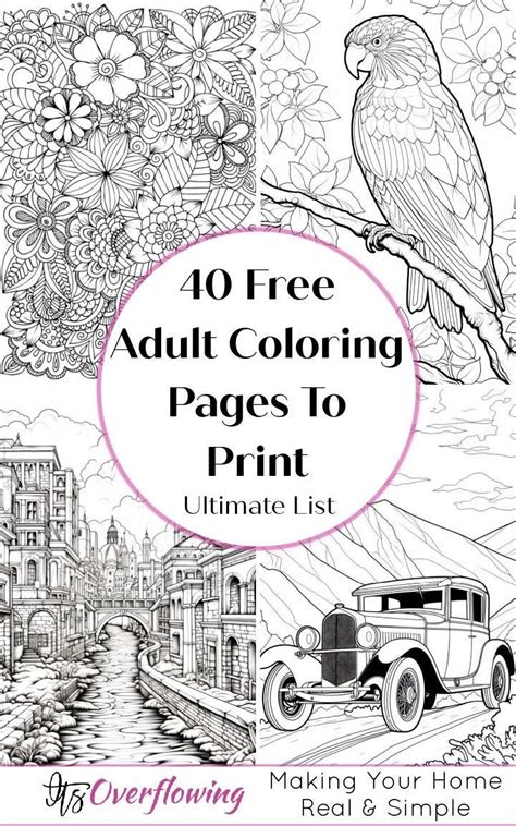 Finding Your Perfect Free Adult Coloring Book Pages