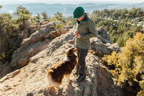 Finding the Best Dog Training Fort Collins Programs