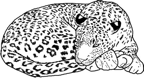 Finding the Best Free Coloring Pages Cheetah Designs
