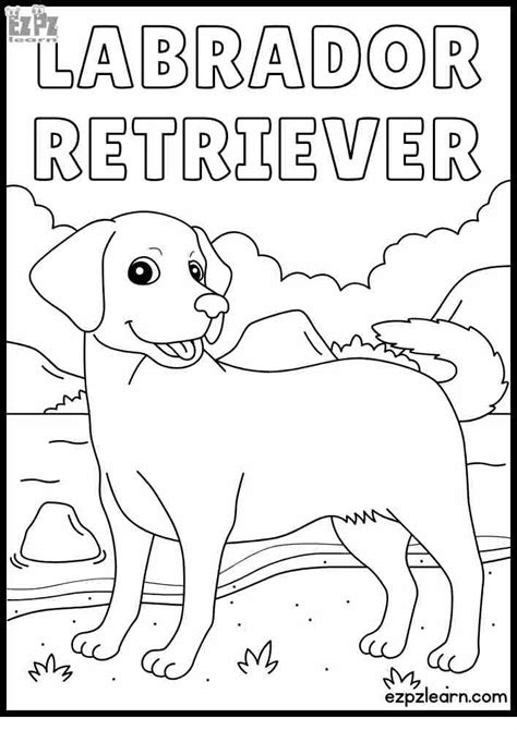 Finding the Best Free Labrador Coloring Resources