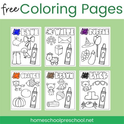 Finding the Best Free Learning Coloring Pages Categories