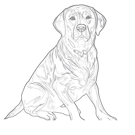 Finding the Best Labrador Puppy Coloring Pages