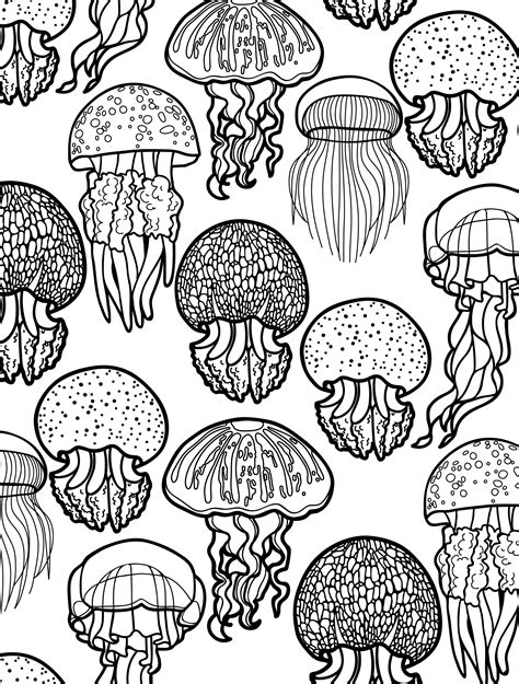 Finding the Best Simple Adult Coloring Pages Printable Sources